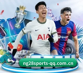 南宫体育 APP(NG28 SPORTS)